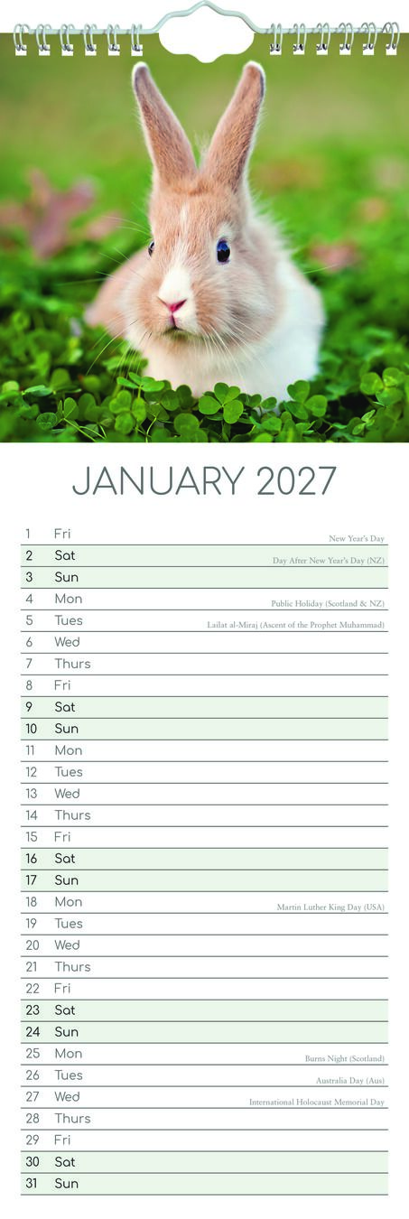 The Gifted Stationery Sl Kalender 27 Cute Bunnies gtd