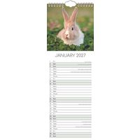 The Gifted Stationery Sl Kalender 27 Cute Bunnies gtd