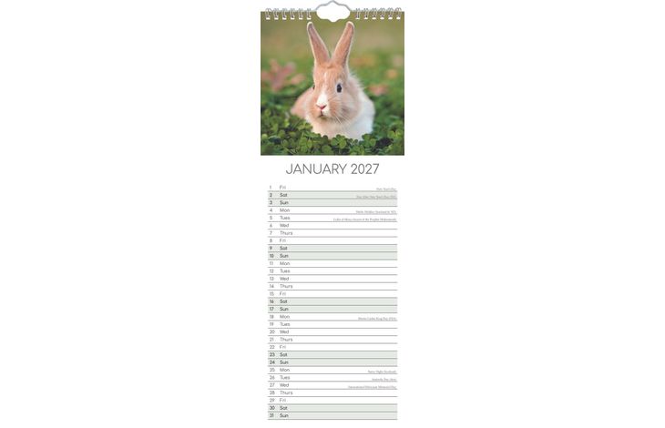 The Gifted Stationery Sl Kalender 27 Cute Bunnies gtd