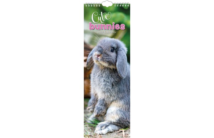 The Gifted Stationery Sl Kalender 27 Cute Bunnies gtd