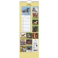 The Gifted Stationery Sl Kalender 27 Horses gtd