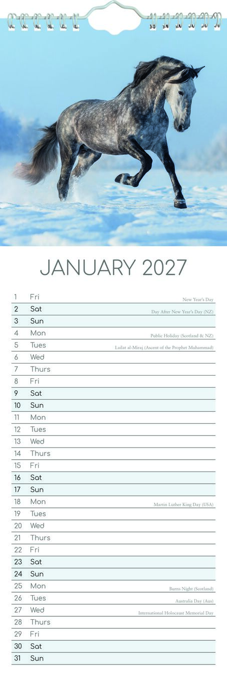 The Gifted Stationery Sl Kalender 27 Horses gtd