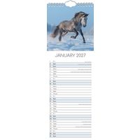 The Gifted Stationery Sl Kalender 27 Horses gtd