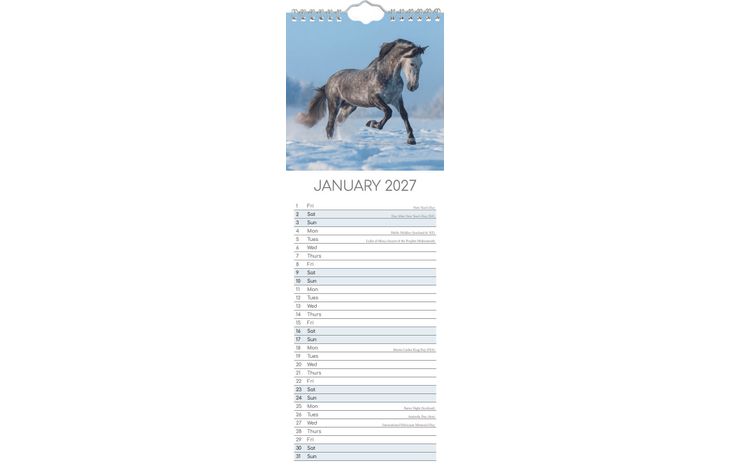 The Gifted Stationery Sl Kalender 27 Horses gtd