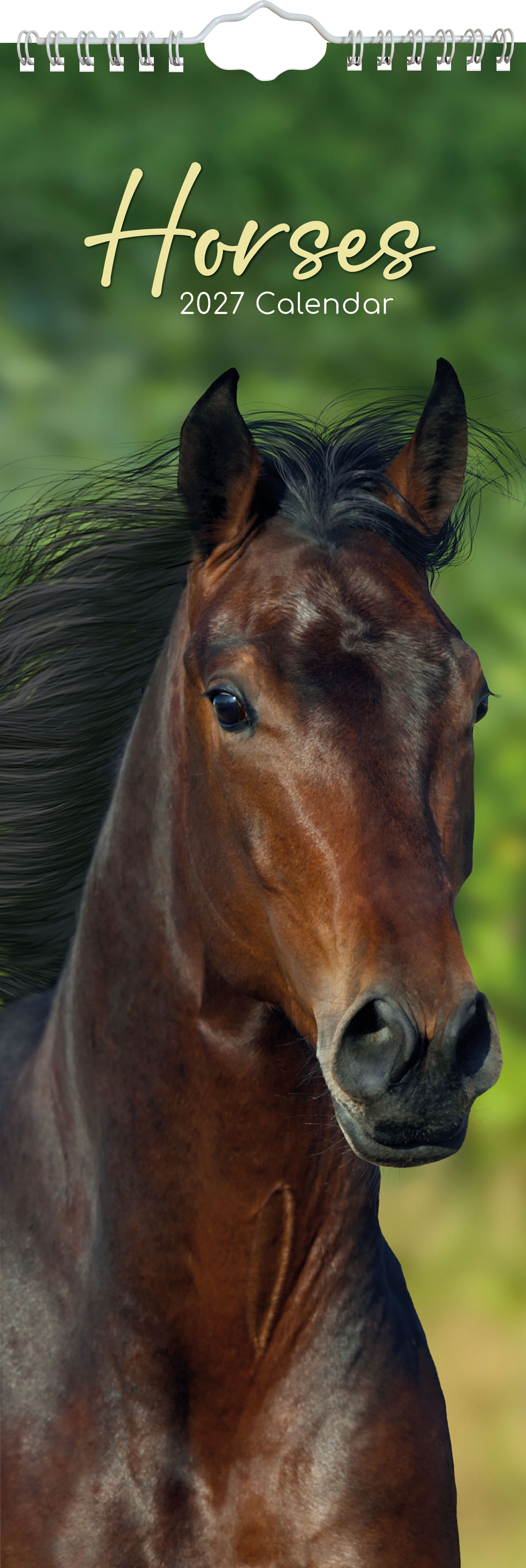 The Gifted Stationery Sl Kalender 27 Horses gtd