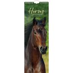 Sl Kalender 27 Horses gtd