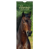 The Gifted Stationery Sl Kalender 27 Horses gtd