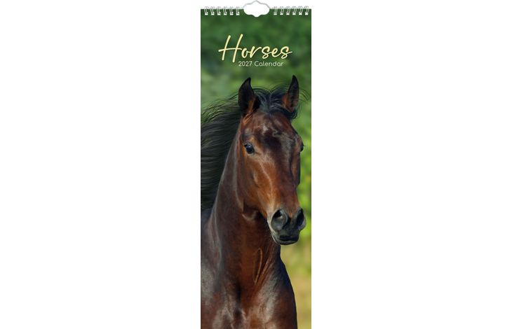 The Gifted Stationery Sl Kalender 27 Horses gtd