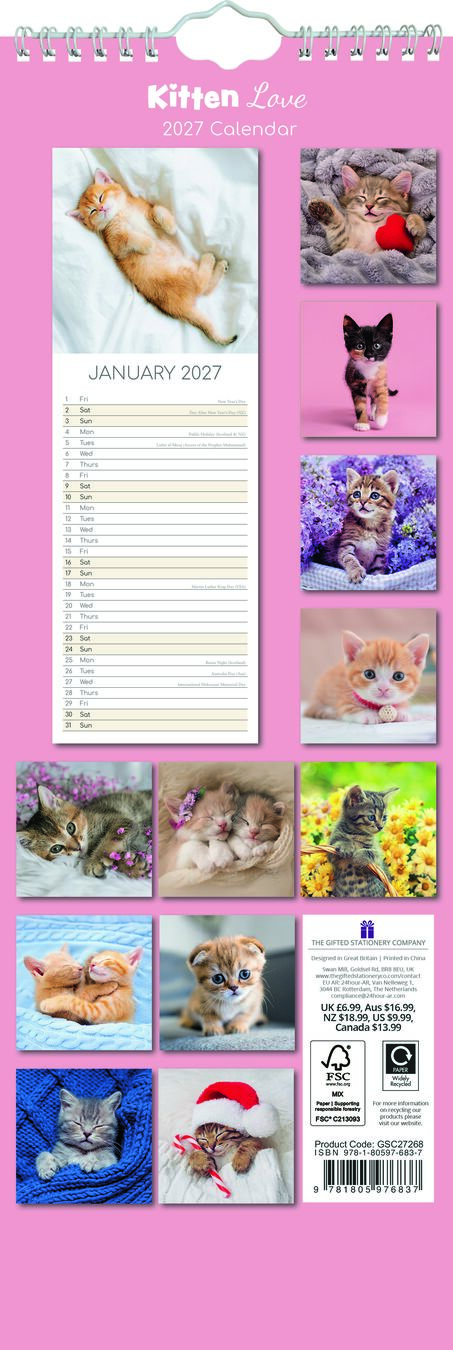 The Gifted Stationery Sl Kalender 27 Kitten Love gtd