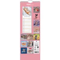 The Gifted Stationery Sl Kalender 27 Kitten Love gtd