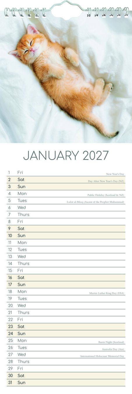 The Gifted Stationery Sl Kalender 27 Kitten Love gtd