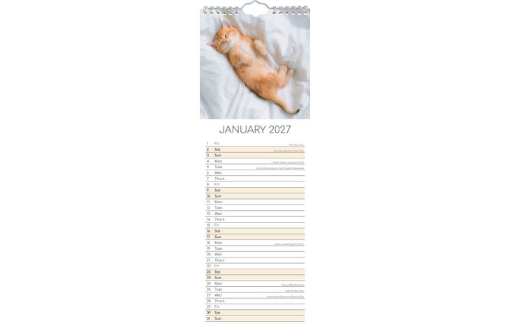 The Gifted Stationery Sl Kalender 27 Kitten Love gtd