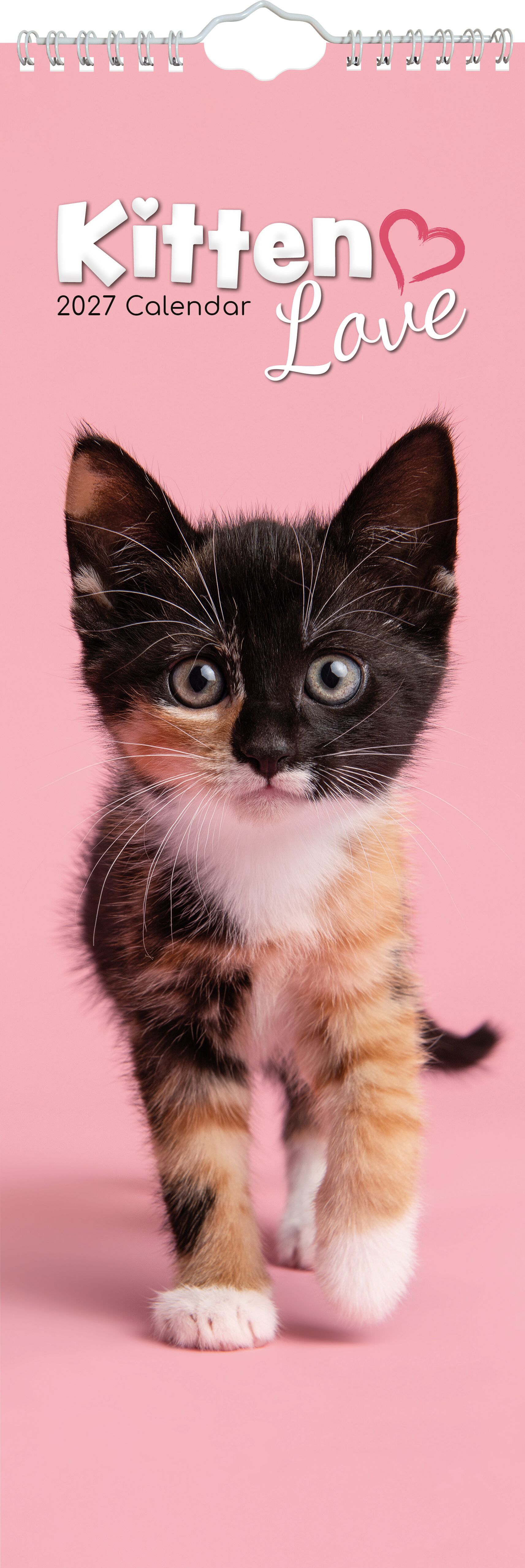 The Gifted Stationery Sl Kalender 27 Kitten Love gtd