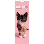 Sl Kalender 27 Kitten Love gtd