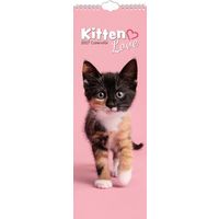 The Gifted Stationery Sl Kalender 27 Kitten Love gtd