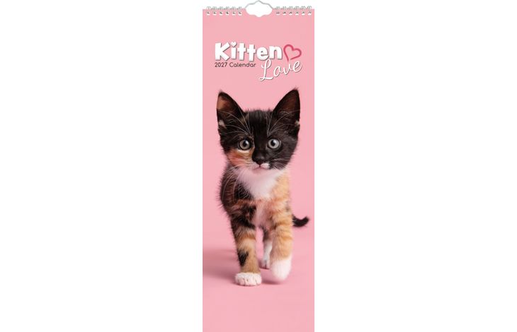 The Gifted Stationery Sl Kalender 27 Kitten Love gtd