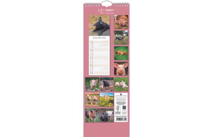 The Gifted Stationery Sl Kalender 27 Cute Piggies gtd