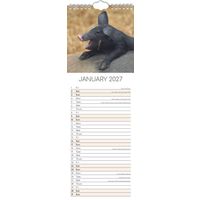 The Gifted Stationery Sl Kalender 27 Cute Piggies gtd