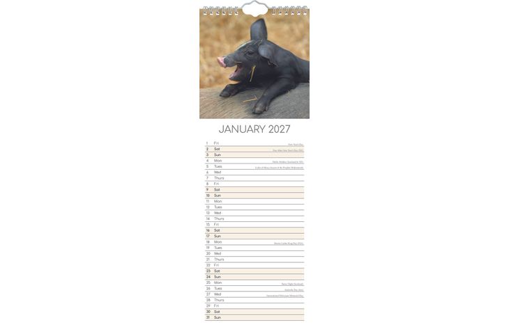 The Gifted Stationery Sl Kalender 27 Cute Piggies gtd
