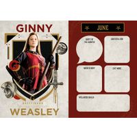 Danilo Agenda 27 Harry Potter dnl