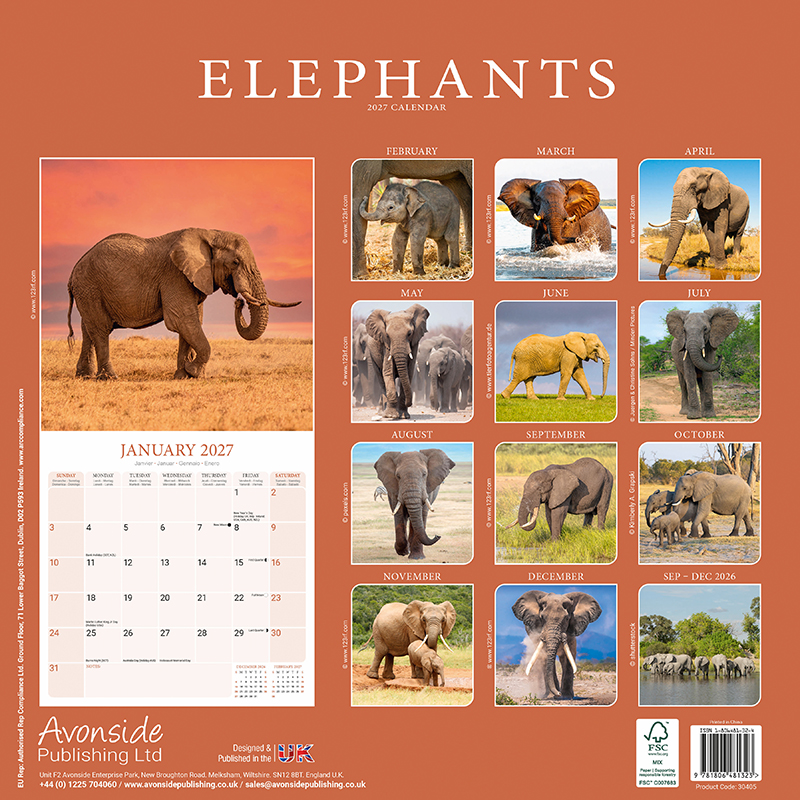 Avonside Kalender 27 Elephants as
