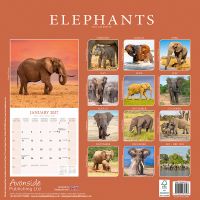 Avonside Kalender 27 Elephants as