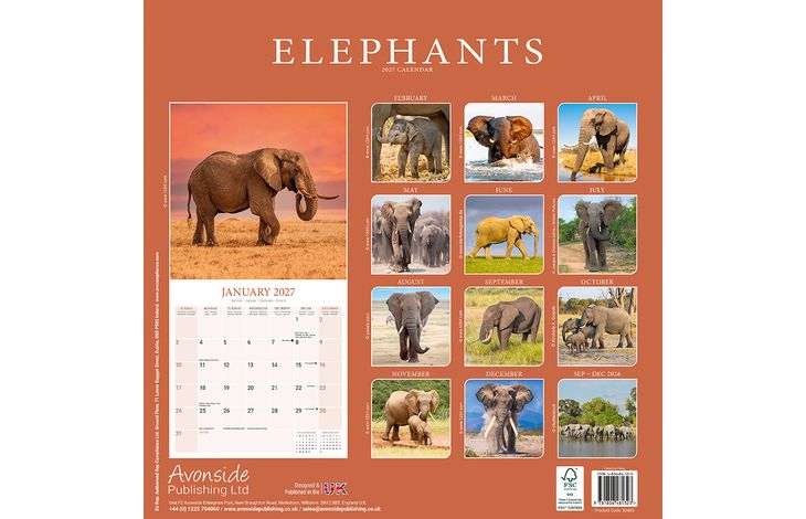 Avonside Kalender 27 Elephants as