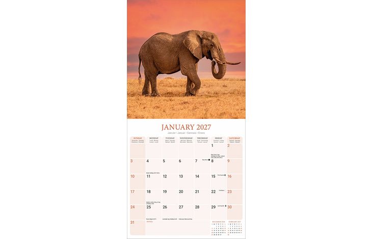 Avonside Kalender 27 Elephants as