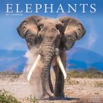 Kalender 27 Elephants as