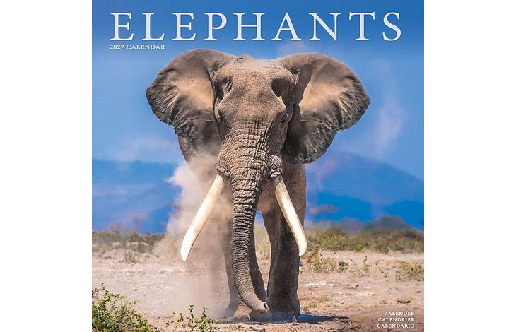 Avonside Kalender 27 Elephants as