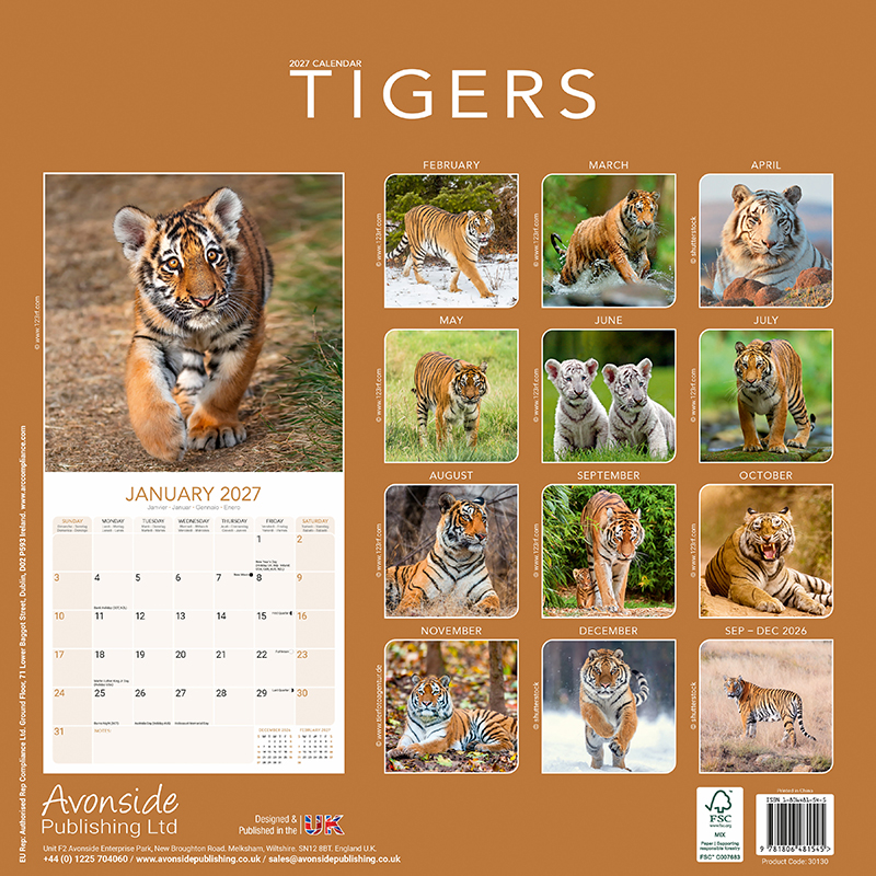 Avonside Kalender 27 Tigers as