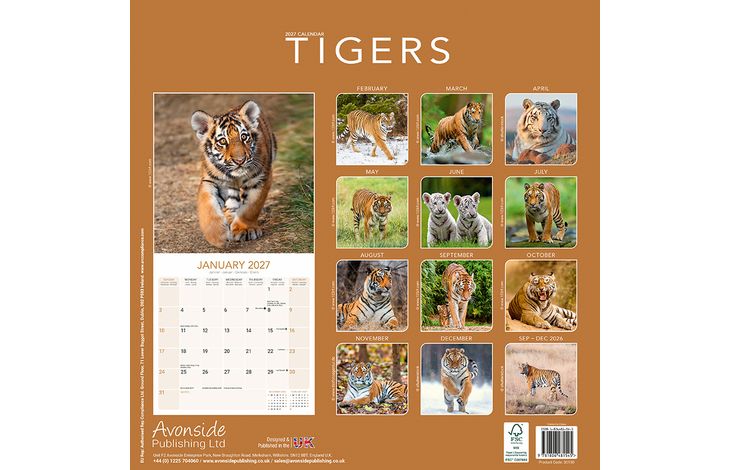 Avonside Kalender 27 Tigers as