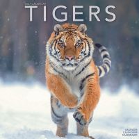 Avonside Kalender 27 Tigers as