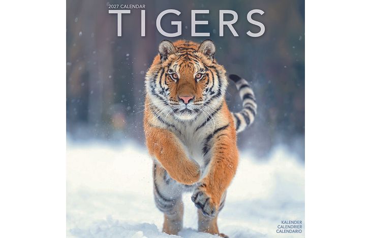 Avonside Kalender 27 Tigers as