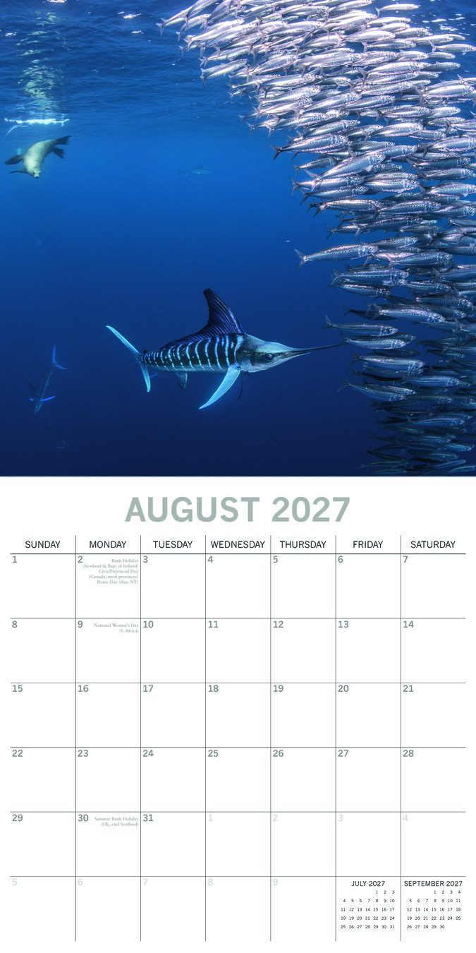 The Gifted Stationery Kalender 27 Under the Sea gtd