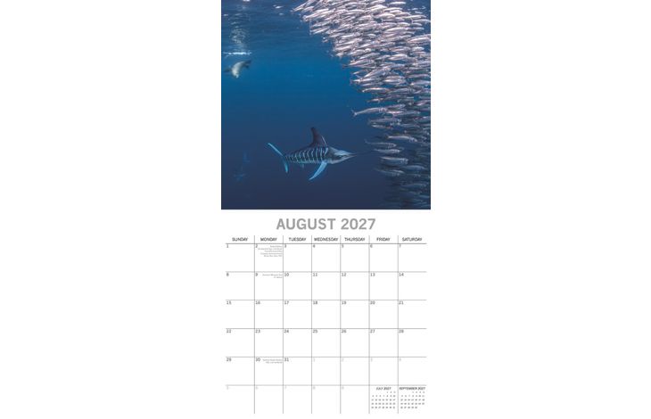 The Gifted Stationery Kalender 27 Under the Sea gtd