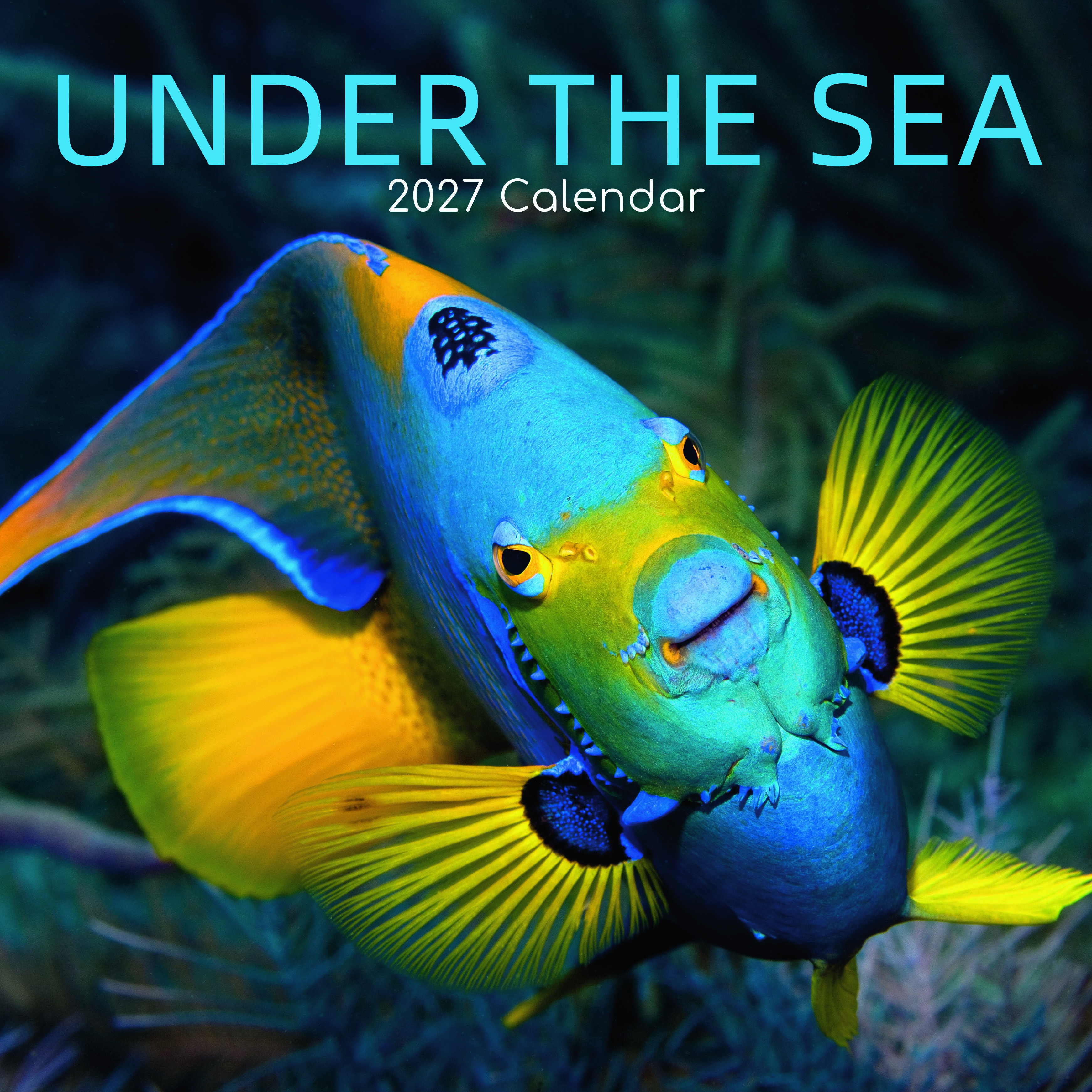 The Gifted Stationery Kalender 27 Under the Sea gtd
