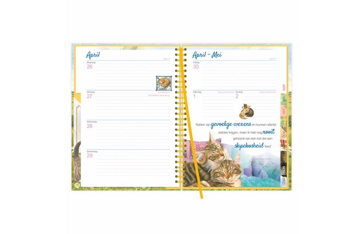 Comello Agenda 27 Franciens Katten Mischa