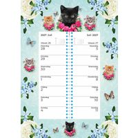 Plenty Gifts Weekomleg 27 Cats Blue