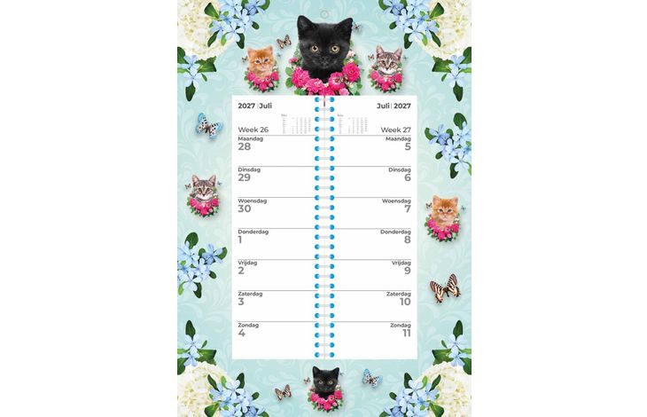 Plenty Gifts Weekomleg 27 Cats Blue