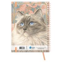 Comello Agenda 27 Franciens Katten Blue