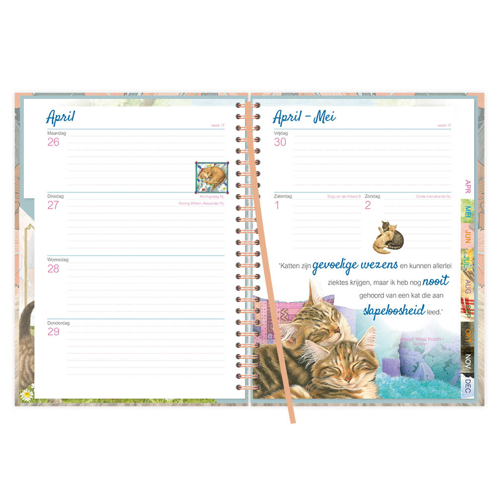 Comello Agenda 27 Franciens Katten Blue