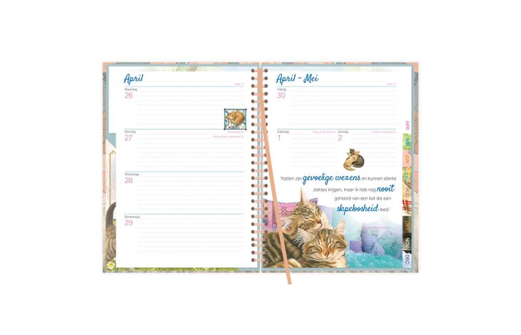 Comello Agenda 27 Franciens Katten Blue