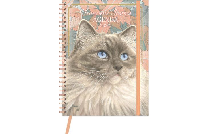Comello Agenda 27 Franciens Katten Blue
