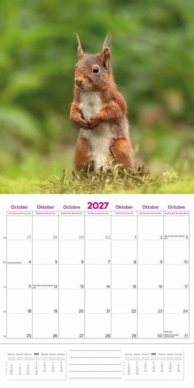 Plenty Gifts Kalender 27 Natuur en Dier pg