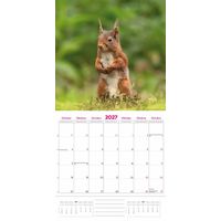 Plenty Gifts Kalender 27 Natuur en Dier pg