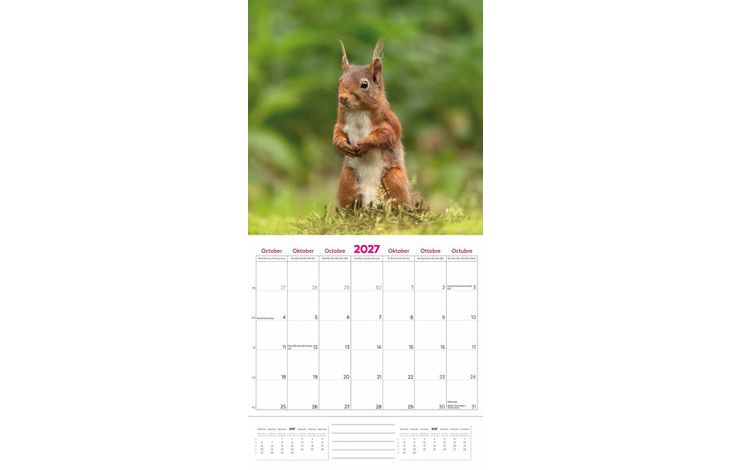Plenty Gifts Kalender 27 Natuur en Dier pg