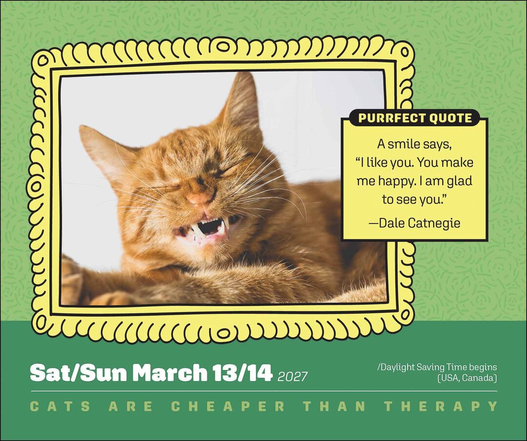 Flame Tree Publishing Boxed 27 Cats Are Cheaper Than Therapy amp