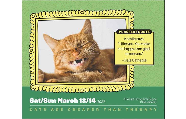 Flame Tree Publishing Boxed 27 Cats Are Cheaper Than Therapy amp