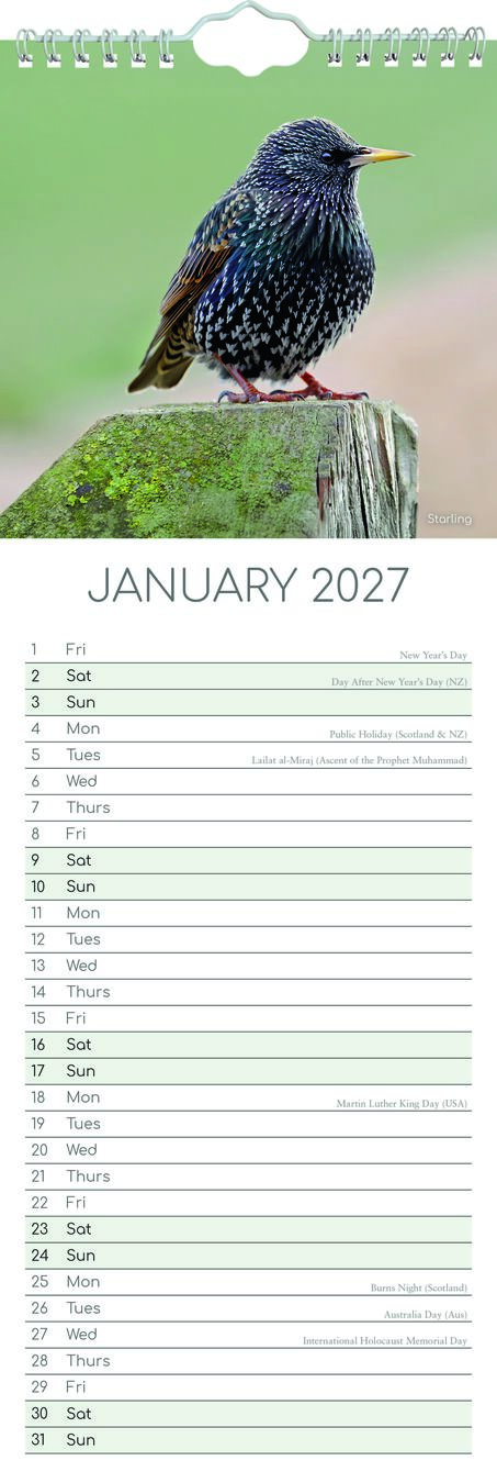 The Gifted Stationery Sl Kalender 27 Birds gtd